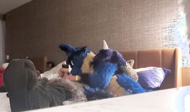 Sucario Breeds Luka Lucario x Lucario