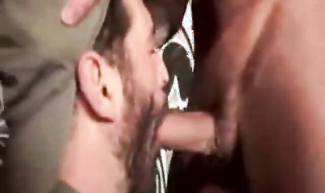 BB three-some painfully plowing