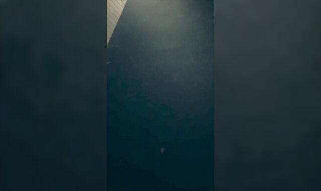 Understall College Bathroom DEEPTHROAT-JOB with SPUNK guzzled