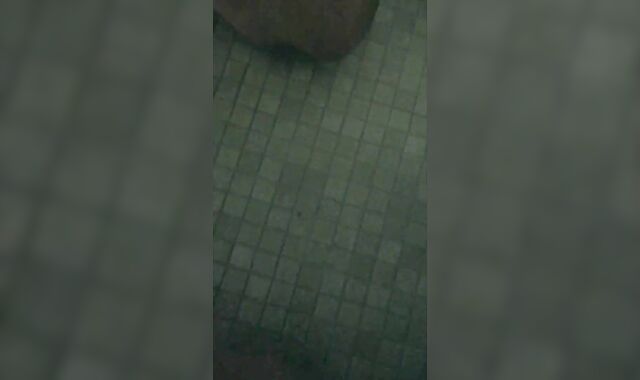 Understall College Bathroom DEEPTHROAT-JOB with SPUNK guzzled