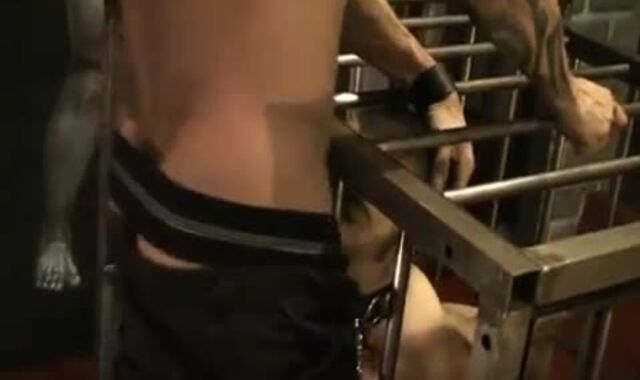 Paddled And permeated