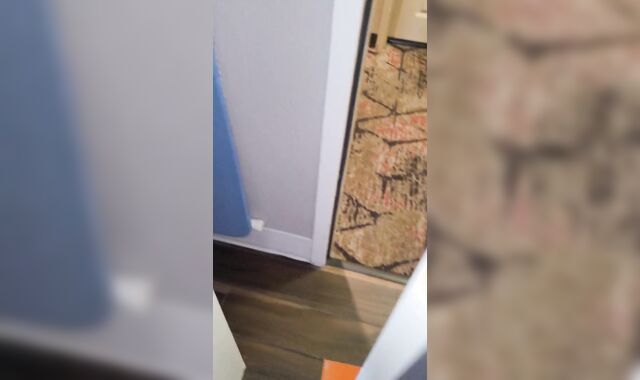 Afternoon of penising