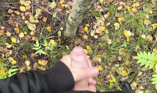 Pummeled a stranger in the woods without a love glove and cum inside