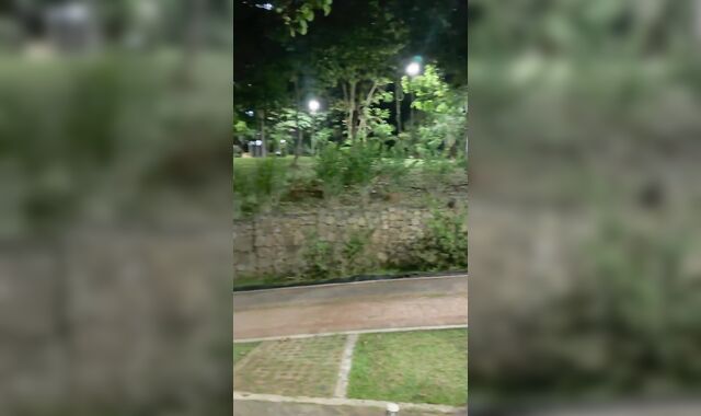 Cruising fuckin' in public heterosexual gets me to inhale boner and I do deep mouth I get knocked up bootie-bang