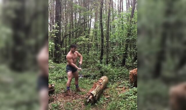 Why I spend time in the woods