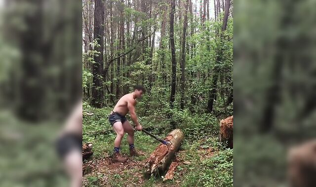 Why I spend time in the woods