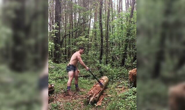 Why I spend time in the woods