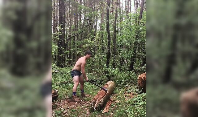 Why I spend time in the woods