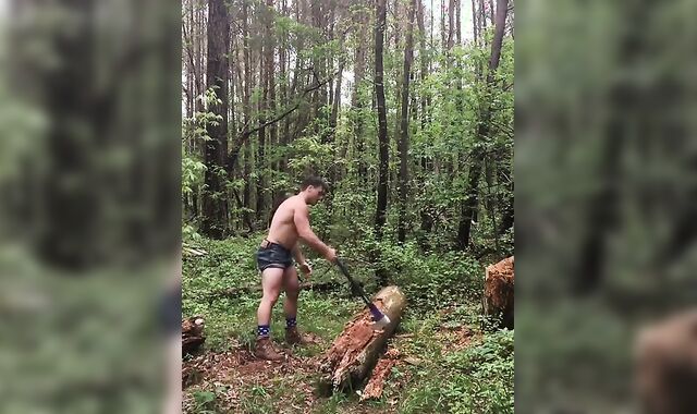 Why I spend time in the woods