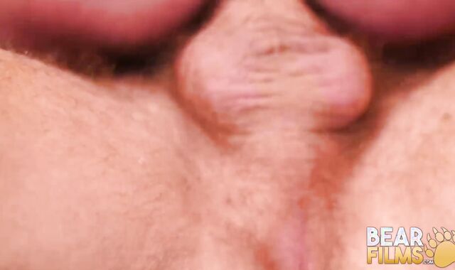 BEARFILMS Hunky Parker Logan Breeds Fur Covered Bottom Alex Hawk