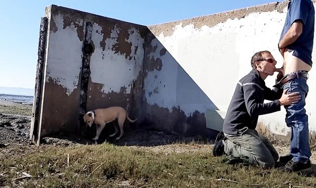 cruising silver daddy meets fellow on the beach outdoor blowjob