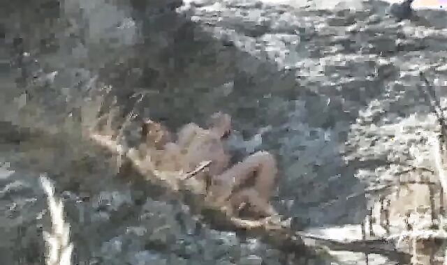 superb-sized wang unprotected two