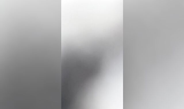 My scanty neighbors lol