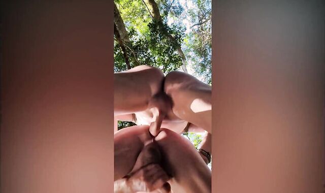 A Walk iin the Forest