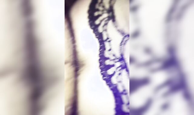 Queer-For-Pay StepDaddy ravage & use screaming cd gimp slut boy