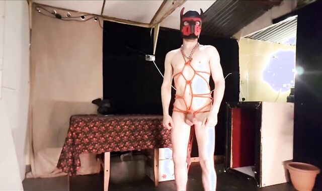 Pup gets roped up and banged rock-rock hard