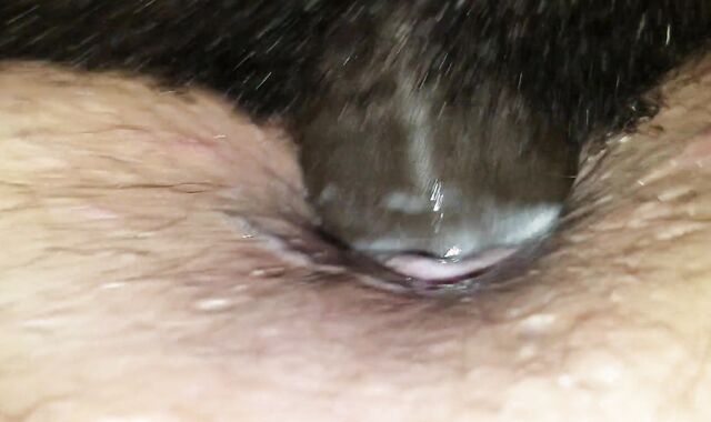 Stepbrother digging in my my guts. Some of the finest uncut GIANT EBONY MANMEAT ive had.