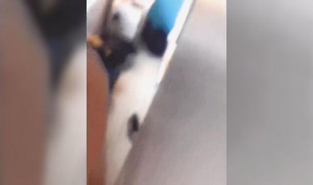 Nailing another call gal in my guest bedroom