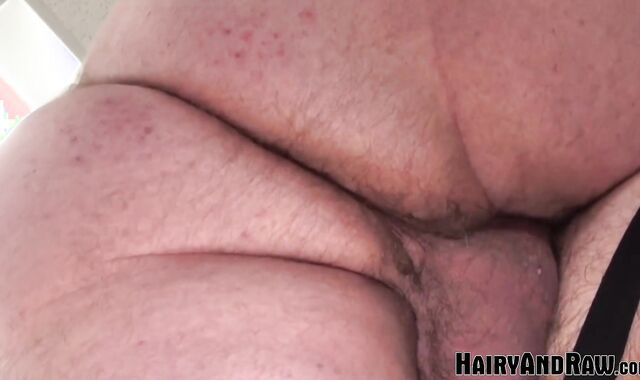 HAIRYANDRAW Hunk Buster Nasstee Bred By Otter Tristan Riant