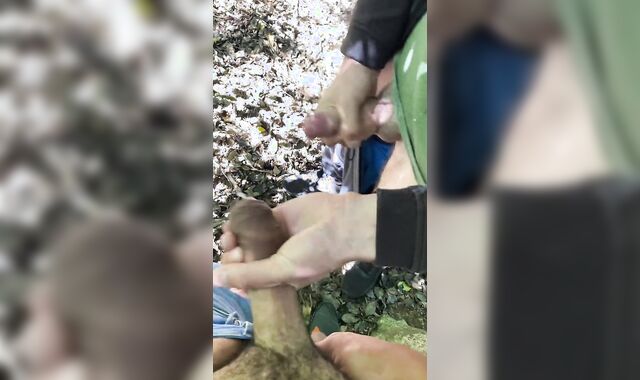 Cruising at London park