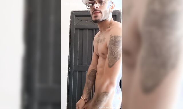 What is the name of this Colombian Latin stud?