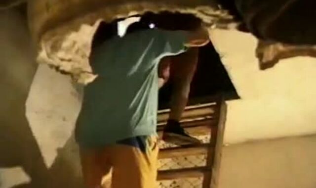 Bouchon Rabbit Tw-nks