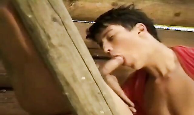 Bouchon Rabbit Tw-nks