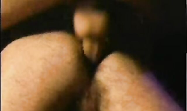 PALOMINO FILMS - El Gran Rabo