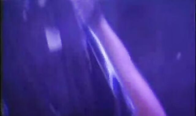 PALOMINO FILMS - El Gran Rabo