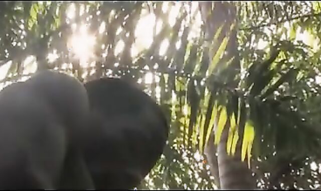 not quite Impossible