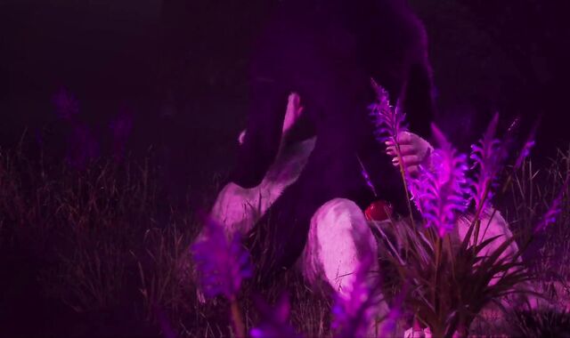 Gay Wool Frosted Synth Lovers | Lion & Hunk | Insatiable Life Furries