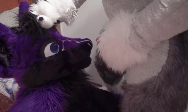 Fenny painting lucer