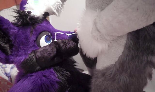 Fenny painting lucer