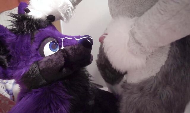 Fenny painting lucer