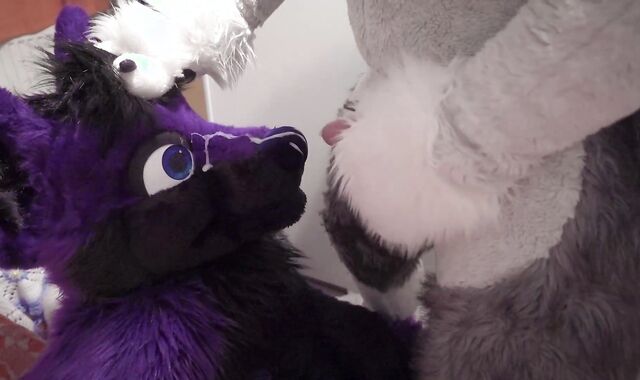 Fenny painting lucer