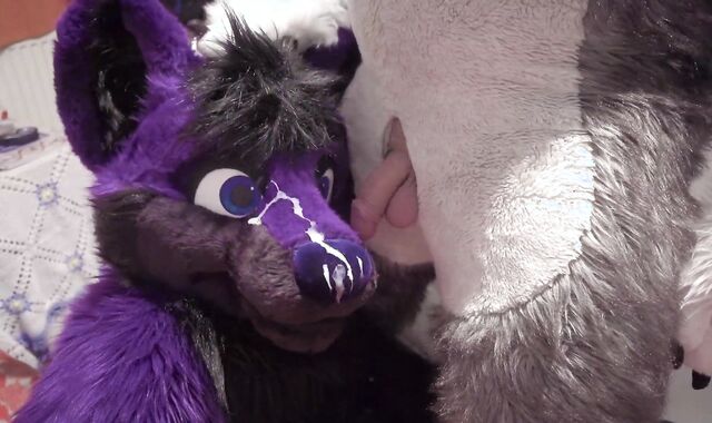 Fenny painting lucer