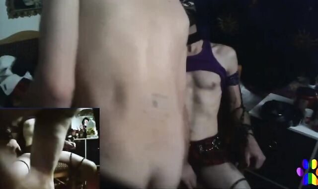 Pup Trussed to a Chair