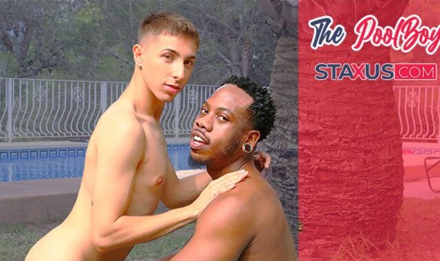 STAXUS ::???? THE POOL STUD.????