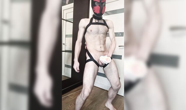 dog have joy with dicktoy