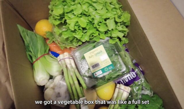 Ep 3. Brisbane's summer heat VLOG