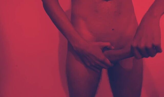 Accumulated earnings ......