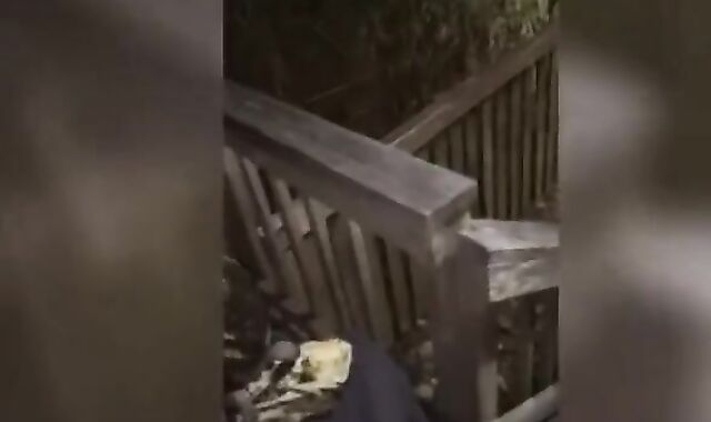 Dre Stealz & King Centauri Beach Journey