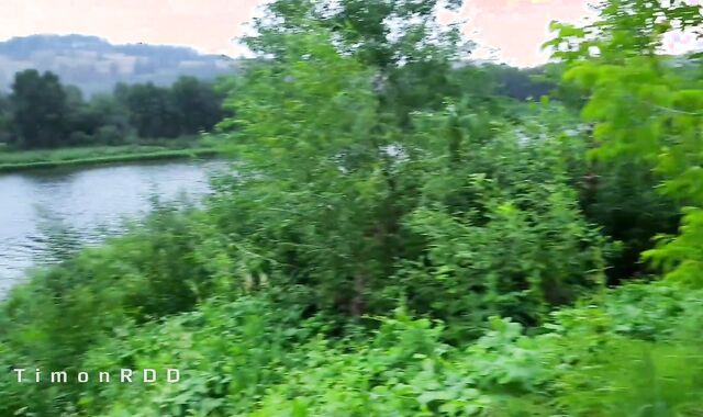 The guy plumbs and humiliates the virtual homosexual on the river