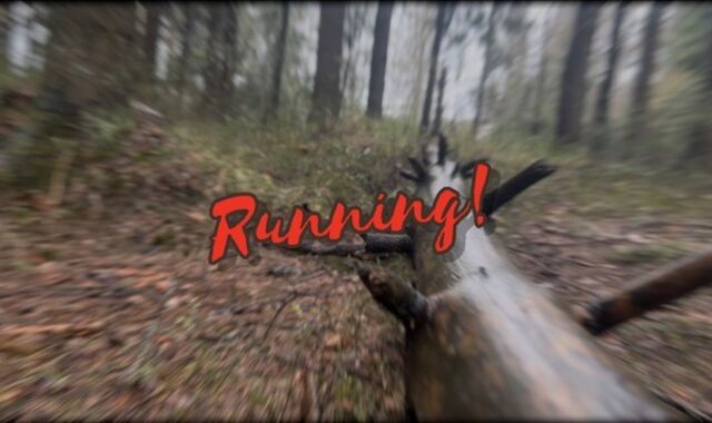 Forest running led to climax????????????????