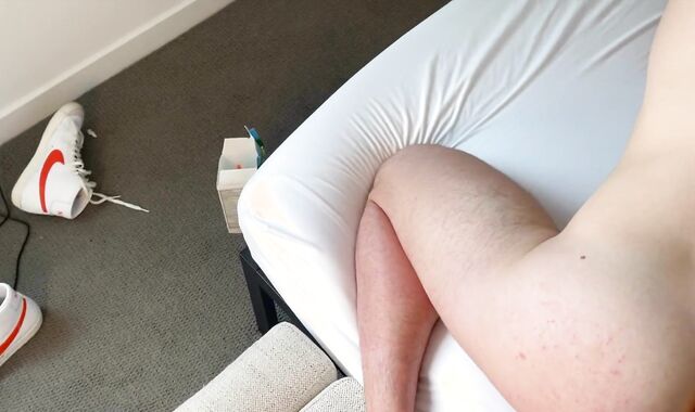 Latin Romps White Pig