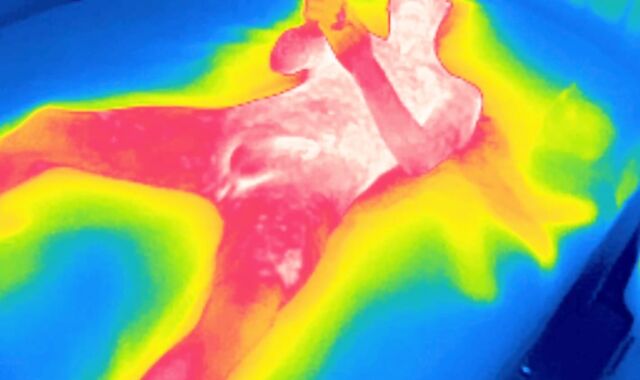 Thermal edging session, 4 back-to-back ejaculations