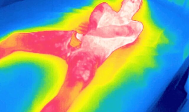 Thermal edging session, 4 back-to-back ejaculations