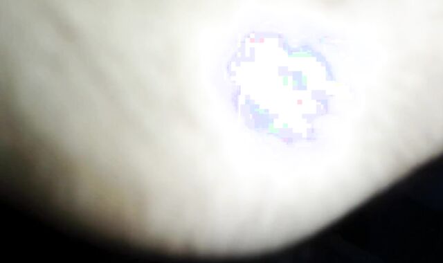 Educator ravages Homosexual with mitt and mitt in the Bunghole part 1