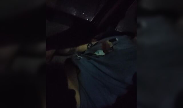 Truck jacking and jizzing with the door open