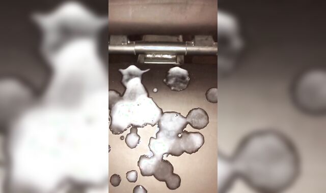 NSFW Take Hold Of Force Teaching @ The Gym While Smashing The Fuck-Hole Of A 45 Rip Up Barbell Plate Until I Jizz